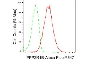 Flow cytometric analysis of PPP2R1B expression in HepG2 cells using PPP2R1B antibody (ABIN7800022), 1:2,000). (PPP2R1B 抗体)