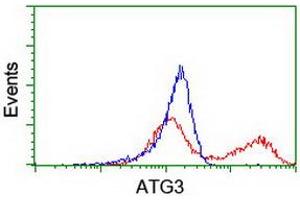 HEK293T cells transfected with either RC203453 overexpress plasmid (Red) or empty vector control plasmid (Blue) were immunostained by anti-ATG3 antibody (ABIN2454918), and then analyzed by flow cytometry. (ATG3 抗体)