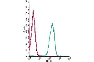 Cell surface detection of Tetraspanin-3 by indirect flow cytometry in live intact human  monocytic leukemia cell line: + goat-anti-rabbit-FITC. (Tetraspanin 3 抗体  (Extracellular))