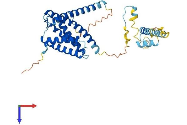 IGBP1 Protein (AA 1-340) (His tag)