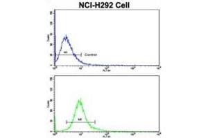 Flow Cytometry (FACS) image for anti-Cullin 5 (CUL5) antibody (ABIN3003301) (Cullin 5 抗体)
