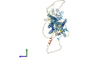 Protein Structure (PS) image for Solute Carrier Family 39 (Zinc Transporter), Member 12 (SLC39A12) (AA 1-691) protein (His tag) (ABIN7555387)