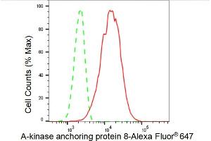 Flow cytometric analysis of A-kinase anchoring protein 8 expression in C2C12 cells using A-kinase anchoring protein 8 antibody (ABIN7797434), 1:2,000). (Recombinant AKAP8 抗体)