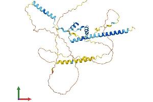 Protein Structure (PS) image for NFKB Activating Protein (NKAP) (AA 1-415) protein (His tag) (ABIN7560832)
