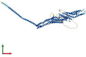 AlphaFold protein structure predicition of Human Recombinant EXOC7 Protein, UniprotID Q9UPT5