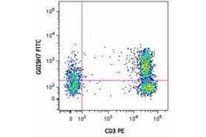 Flow Cytometry (FACS) image for anti-Chemokine (C-X-C Motif) Receptor 3 (CXCR3) antibody (FITC) (ABIN2661544) (CXCR3 抗体  (FITC))
