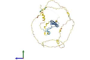 Protein Structure (PS) image for Cyclin-Dependent Kinase Inhibitor 1C (p57, Kip2) (CDKN1C) (AA 1-348) protein (His tag) (ABIN7563350)