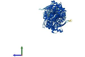 AlphaFold protein structure predicition of Human Recombinant HK1 Protein, UniprotID P19367