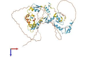 Protein Structure (PS) image for Zinc Finger Protein 639 (ZNF639) (AA 1-485) protein (His tag) (ABIN7545482)