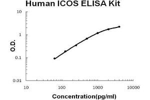 Human  ICOS PicoKine ELISA Kit standard curve