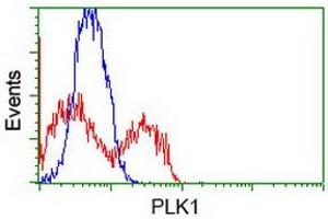 Flow Cytometry (FACS) image for anti-Polo-Like Kinase 1 (PLK1) antibody (ABIN1500281)