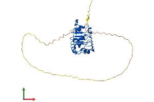 Protein Structure (PS) image for Acidic (Leucine-Rich) Nuclear phosphoprotein 32 Family, Member B (ANP32B) (AA 1-272) protein (His tag) (ABIN7561484)