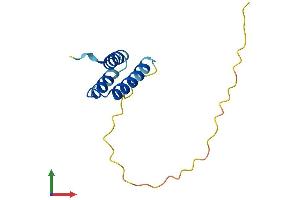 Protein Structure (PS) image for Succinate Dehydrogenase Complex Assembly Factor 1 (SDHAF1) (AA 1-118) protein (His tag) (ABIN7557132)
