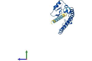 Protein Structure (PS) image for Ribosomal L24 Domain Containing 1 (RSL24D1) (AA 1-163) protein (His tag) (ABIN7560350)