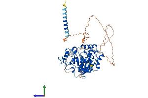 Protein Structure (PS) image for ST6 beta-Galactosamide alpha-2,6-Sialyltranferase 2 (ST6GAL2) (AA 1-524) protein (His tag) (ABIN7558166)
