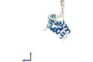 AlphaFold protein structure predicition of Mouse Recombinant Myl10 Protein, UniprotID Q62082 (MYL10 Protein (AA 1-202) (His tag))