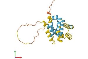Protein Structure (PS) image for BH3 Interacting Domain Death Agonist (BID) (AA 1-195) protein (His tag) (ABIN7552807)