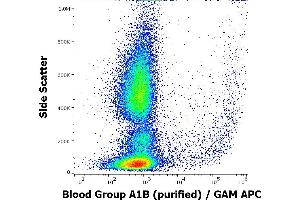 Flow cytometry surface staining pattern of human peripheral whole blood stained using anti-human Blood Grou A1B (HE-24) purified antibody(concentration in sample 3,3 μg/mL, GAM APC). (Blood Group A1B 抗体)