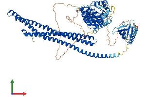 Protein Structure (PS) image for ArfGAP with Coiled-Coil, Ankyrin Repeat and PH Domains 2 (ACAP2) (AA 1-778) protein (His tag) (ABIN7551895)