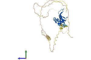 Protein Structure (PS) image for Forkhead Box I2 (FOXI2) (AA 1-318) protein (His tag) (ABIN7547763)