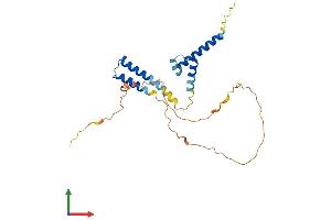 Protein Structure (PS) image for Helt BHLH Transcription Factor (HELT) (AA 1-242) protein (His tag) (ABIN7548290)