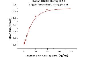 CD28H (AA 23-150) (Active) protein (His tag)