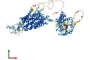 Protein Structure (PS) image for Solute Carrier Family 12 (Potassium-Chloride Transporter) Member 4 (SLC12A4) (AA 1-1085) protein (His tag) (ABIN7565092)