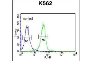 EFR3A Antibody (C-term) (ABIN651173 and ABIN2840110) flow cytometric analysis of K562 cells (right histogram) compared to a negative control cell (left histogram). (EFR3A 抗体  (C-Term))