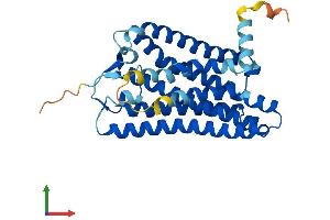 Protein Structure (PS) image for Olfactory Receptor, Family 10, Subfamily H, Member 1 (OR10H1) (AA 1-318) protein (His tag) (ABIN7550043)