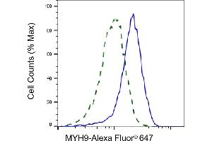 Flow cytometric analysis of MYH9 expression in HepG2 cells using MYH9 antibody (ABIN7799520), 1:1,000). (Myosin 9 抗体)