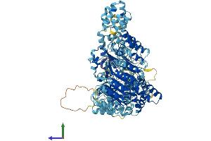 Protein Structure (PS) image for NLR Family, CARD Domain Containing 4 (NLRC4) (AA 1-1024) protein (His tag) (ABIN7563737)