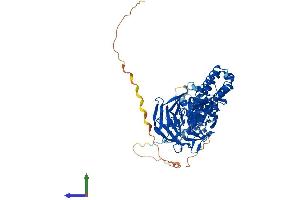 Protein Structure (PS) image for Kelch-Like 17 (KLHL17) (AA 1-642) protein (His tag) (ABIN7548904)