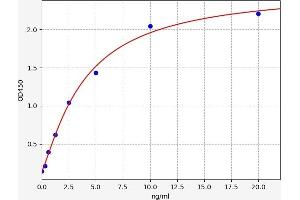 Typical standard curve (Synaptophysin ELISA 试剂盒)