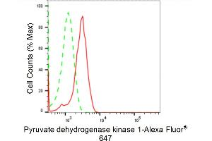 Flow cytometric analysis of Pyruvate dehydrogenase kinase 1 expression in H9c2 cells using Pyruvate dehydrogenase kinase 1 antibody (ABIN7800082), 1:2,000). (Recombinant PDK1 抗体)