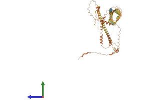 Protein Structure (PS) image for Involucrin (IVL) (AA 1-585) protein (His tag) (ABIN7548555)