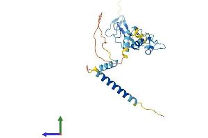 Protein Structure (PS) image for Zinc Finger, AN1-Type Domain 2B (ZFAND2B) (AA 1-257) protein (His tag) (ABIN7545727)