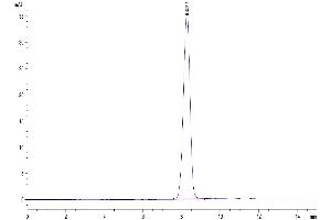 The purity of Human EphB3 is greater than 95 % as determined by SEC-HPLC. (EPH Receptor B3 Protein (EPHB3) (AA 34-559) (His tag))
