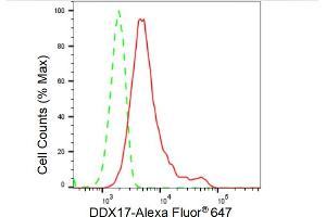 Flow cytometric analysis of DDX17 expression in HeLa cells using DDX17 antibody (ABIN7798284), 1:2,000). (Recombinant DDX17 抗体)