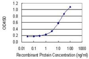 ELISA image for anti-Catenin, beta Like 1 (CTNNBL1) (AA 210-311) antibody (ABIN566018)