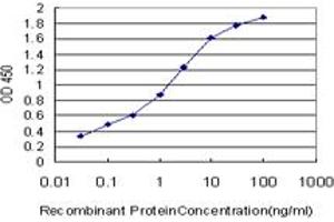 Detection limit for recombinant GST tagged HEY1 is approximately 0. (HEY1 抗体  (AA 121-220))