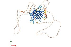 AlphaFold protein structure predicition of Mouse Recombinant Tulp1 Protein, UniprotID Q9Z273