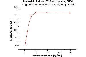 ELISA image for Cytotoxic T-Lymphocyte-Associated Protein 4 (CTLA4) (AA 36-162) (Active) protein (His tag,AVI tag,Biotin) (ABIN6973042)