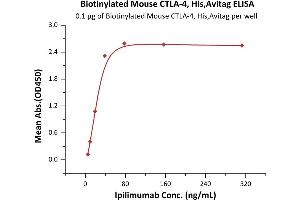 Immobilized Biotinylated Mouse CTLA-4, His,Avitag (ABIN6973042) at 1 μg/mL (100 μL/well) on Streptavidin  precoated (0. (CTLA4 Protein (AA 36-162) (His tag,AVI tag,Biotin))