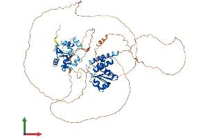 Protein Structure (PS) image for Dual Specificity Phosphatase 8 (DUSP8) (AA 1-663) protein (His tag) (ABIN7562250)