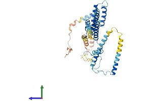 Protein Structure (PS) image for DnaJ (Hsp40) Homolog, Subfamily C, Member 28 (DNAJC28) (AA 1-385) protein (His tag) (ABIN7559814)
