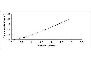 Typical standard curve (COL5A2 ELISA 试剂盒)