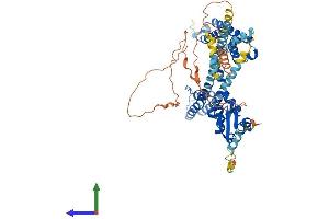 Protein Structure (PS) image for Potassium Voltage-Gated Channel, Shal-Related Subfamily, Member 2 (KCND2) (AA 1-630) protein (His tag) (ABIN7554323)