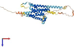 G Protein-Coupled Receptor 88 (GPR88) (AA 1-384) protein (His tag)