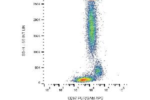 Surface staining of human peripheral blood with anti-CD97 (MEM-180) FITC. (CD97 抗体  (FITC))