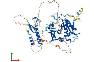 Protein Structure (PS) image for tRNA-splicing Endonuclease Subunit SEN2 (TSEN2) (AA 1-465) protein (His tag) (ABIN7555451)